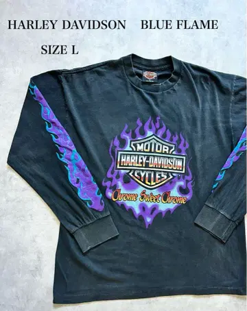 HARLEY DAVIDSON 블루 프레임 L 사이즈