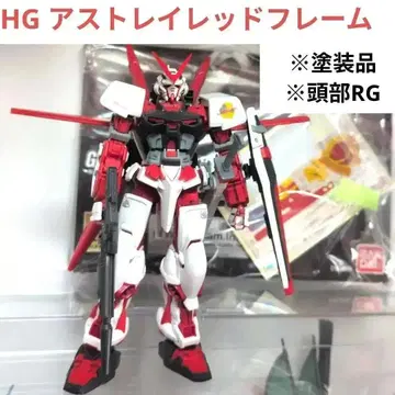 HG 아스트레이 레드 프레임 도색 완성품 머리 RG