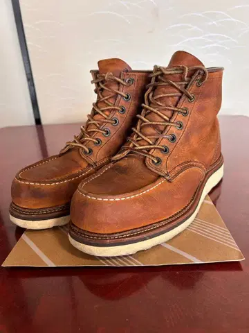 레드윙 1907 아이리쉬 세터 8D 26cm USA제