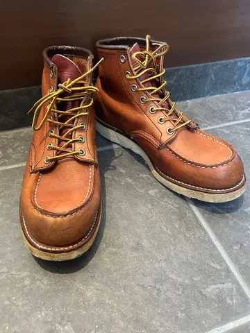 Red wing 레드윙 아이리쉬 세터 8131