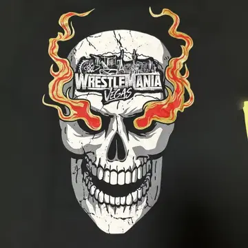 L 사이즈 WWE T셔츠 스톤콜드 레슬매니아 WWF WCW