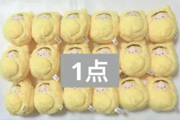 기븐 카시마 히이라기 쿠루미타피 누이 1개