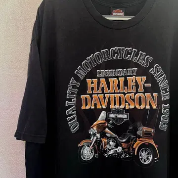 Harley-Davidson 할리데이비슨 T셔츠