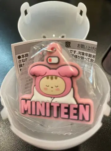미니 틴 푹신 엠블럼 액세서리 seventeen 세부치 정한