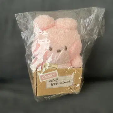BTS 정국 BT21 쿠키 봉제 인형