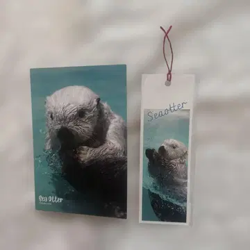 산세이도 이케부쿠로 한정판 랏코 엽서 메이 책갈피 키라