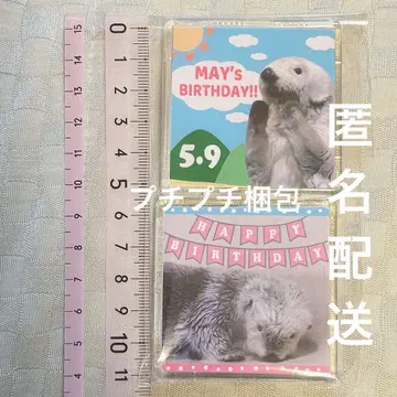 도바 수족관 메이 랏코 벌스데이 마그넷 생일
