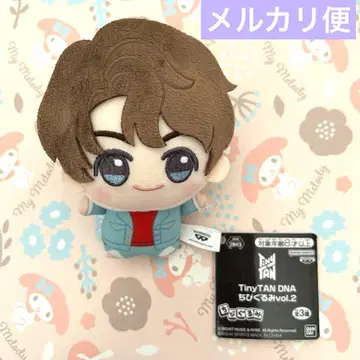 BTS TinyTAN SD 인형 DNA 정국