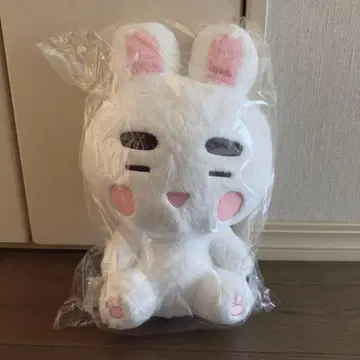 ONEW 온유 진기원 40cm 봉제 인형