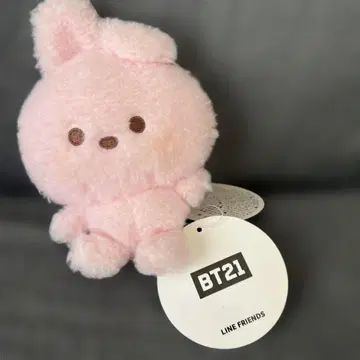 BTS 정국 BT21 쿠키 봉제 인형