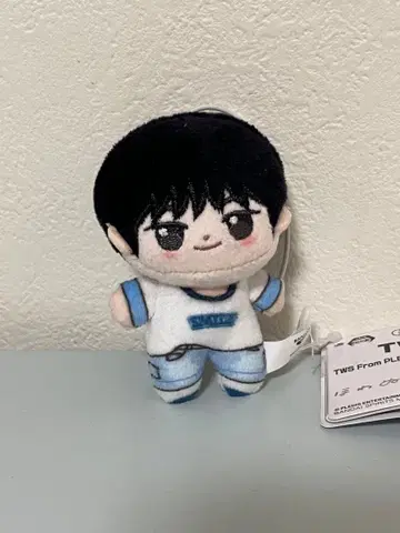 TWS From PLEDIS ENTERTAINMENT 호와인 봉제 인형