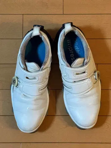 풋조이 55519J 골프화 투어 알파