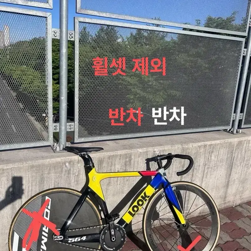 3대주 룩 564 몬드리안 M 반차
