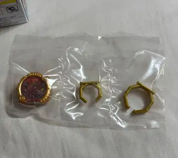 전대 반지 고카이저
