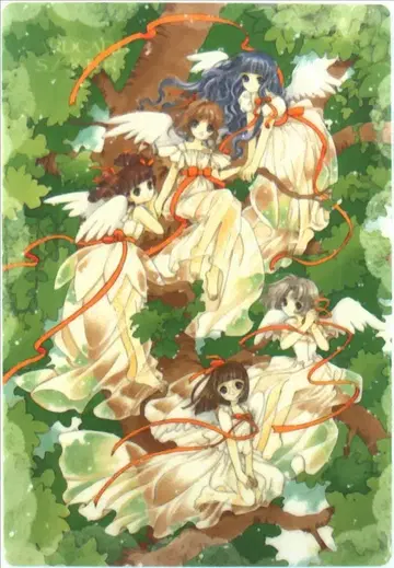 코단샤 CLAMP 카드캡터 사쿠라 (원작 그림) 책받침