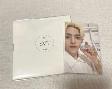 세븐틴 에스쿱스 아티스트 메이드 트레이딩 카드