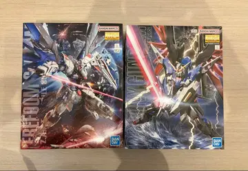 MG 프리덤 건담 Ver.2.0 & MG 데스티니 건담