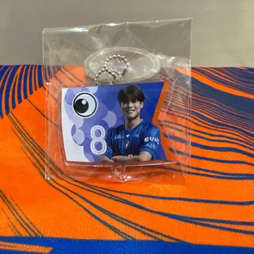 V 파렌 나가사키 코이노보리 가챠 이와사키 유진