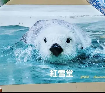 [5월 9일 신상품] 도바 수족관 랏코 메이 생일 포스터 노랑