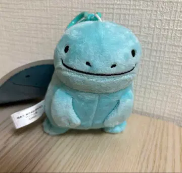 포켓몬 누오 모후굿토 봉제 인형