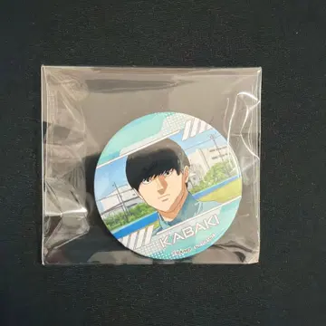 100m. 자작나무