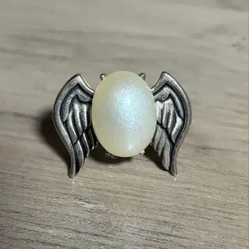 가정교사 히트맨REBORN 봉고레링 육조화 하쿠란 마레링 대공