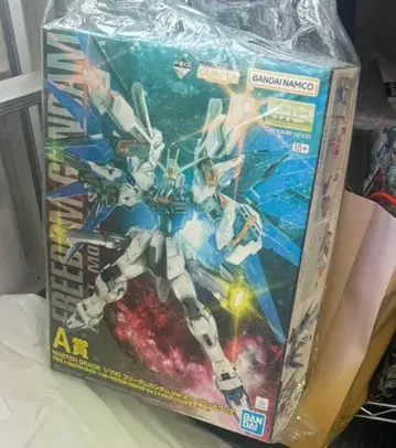 MG 1/100 프리덤 건담