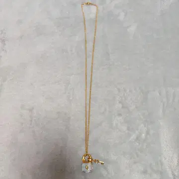 스와로브스키 락앤키 참 목걸이