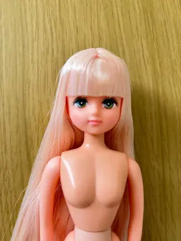 리카짱 캐슬 리카짱 프렌드 팔레트f