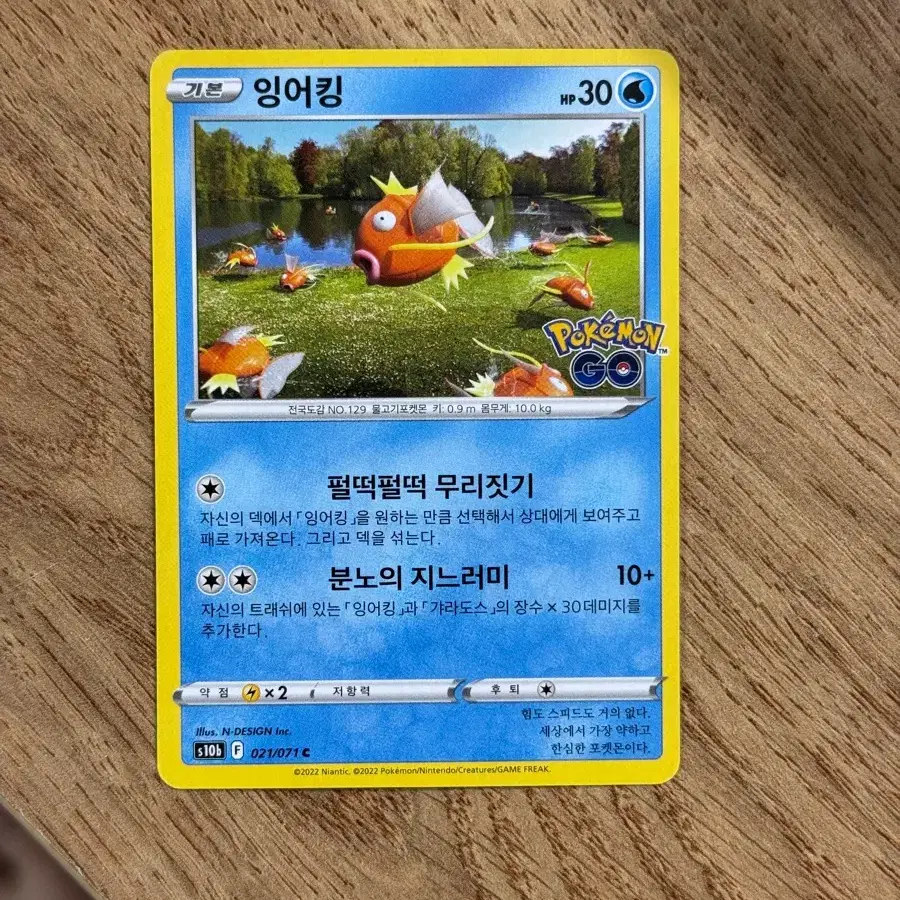Japanese version Pokemon card Magikarp PSA 10 for sale on Bunjang Global  Site.