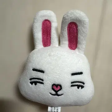 에스쿱스 세븐틴 미니틴 봉제 인형 키링