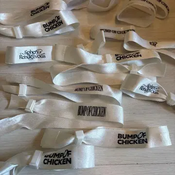 BUMP OF CHICKEN 밴딩