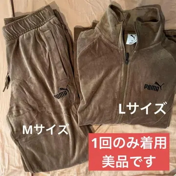 푸마 벨로아 브라운 셋업