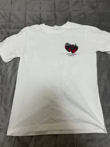 BUMP OF CHICKEN strawberry 티셔츠 S 사이즈