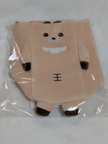 RIIZE 응원봉 백 팬 라이트백 성찬 우라밤