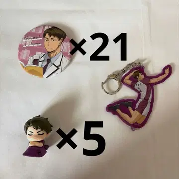 우시지마 와카토시 묶음 판매