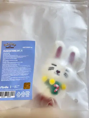 SEVENTEEN miniteen 에스쿱스 HOLIDAY