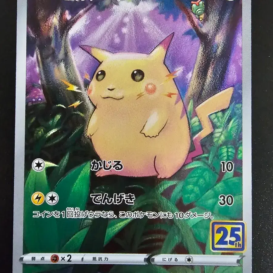 limited edition pokemon cards Limited Edition Pokémon Card Gift Box – Pearl Shell Set – TCG Cardify