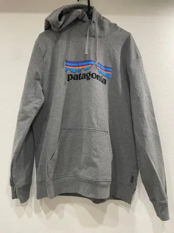 patagonia 후드티