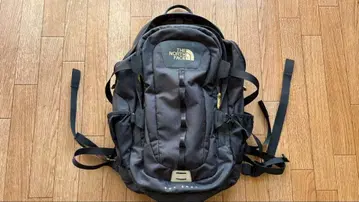THE NORTH FACE HOT SHOT 골드윈 한정판