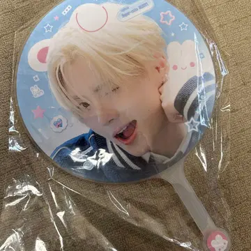 ALD1 산원 마스터 부채