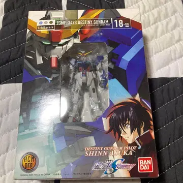 HCM-PRO ZGMF-X42S DESTINY GUNDAM