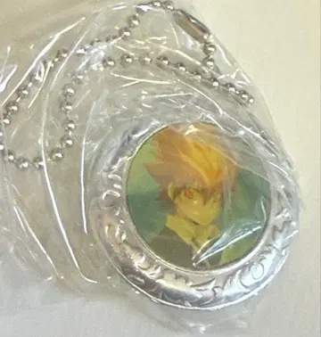 가정교사 히트맨 REBORN 유진 봉고레 메탈 아트 마스코트 츠나요시