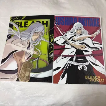 레어품! BLEACH 우키타케 쥬시로 A3 포스터 세트