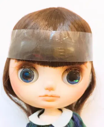 타카라토미 미디 브라이스 리디아 그린