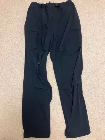CAYL Limber Cargo Pants L 블랙