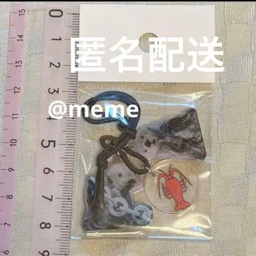 도바 수족관 메이 생일 벌스데이 기념 이세에비 참 랏코