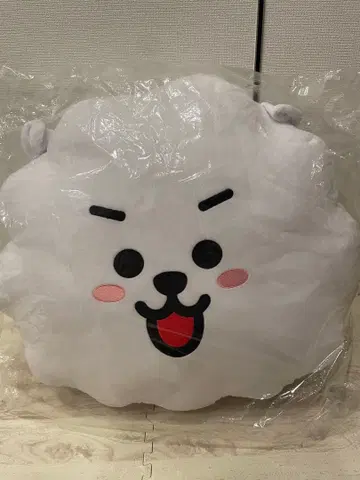 BT21 RJ 페이스 쿠션 40cm