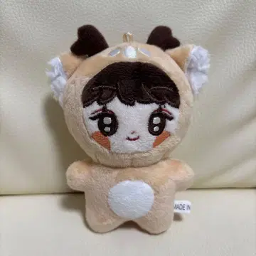 RIIZE 성찬 마스터 봉제 인형 10cm