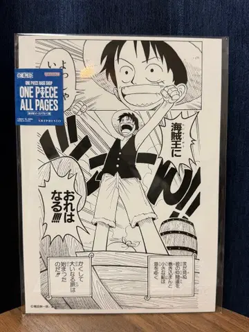 원피스 베이스샵 한정판 ONE PIECE ALL PAGES 루피